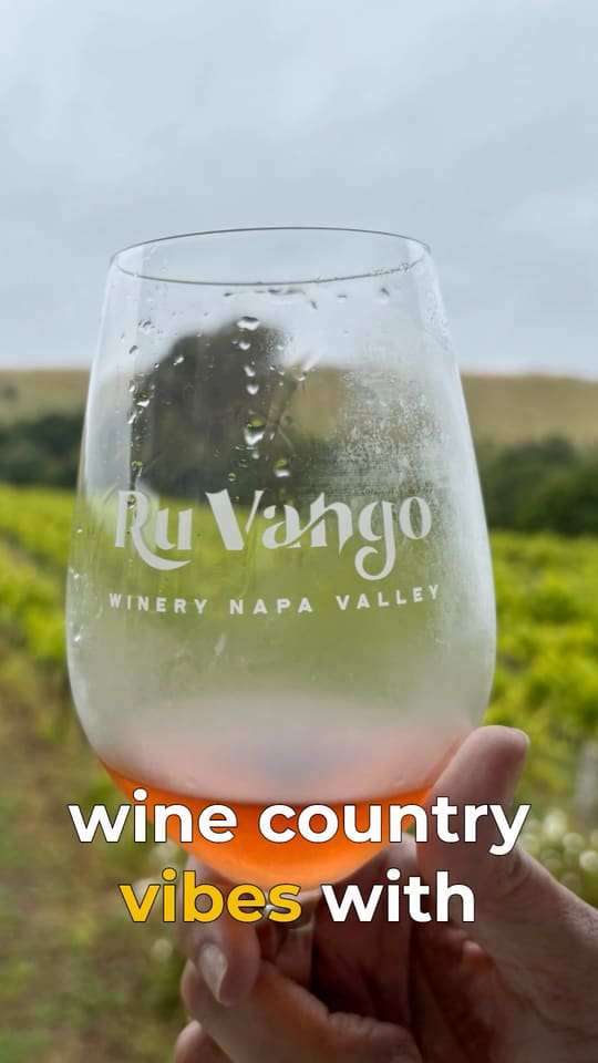 Instagram reel created with Tourbo: Wine tour — glass over the vineyard rows